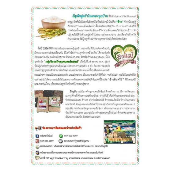 ข้าวหอมมะลิ  1 กิโลกรัม - Image 2