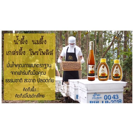 โพรโพลิส บาล์ม 12 กรัม - Image 3
