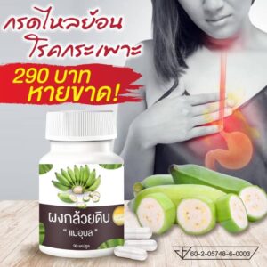 Raw Banana Powder 1 Bottle