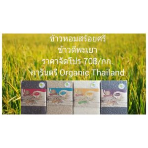 ข้าวไร้เบอร์เบอรี่ / ข้าวกล้องหอมมะลิ / ข้าวขาวหอมมะลิ /ข้าวก่ำพะเยา (เหนียวดำ)