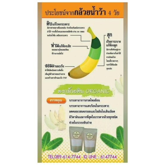 Raw Banana Powder 1 Bottle - Image 3