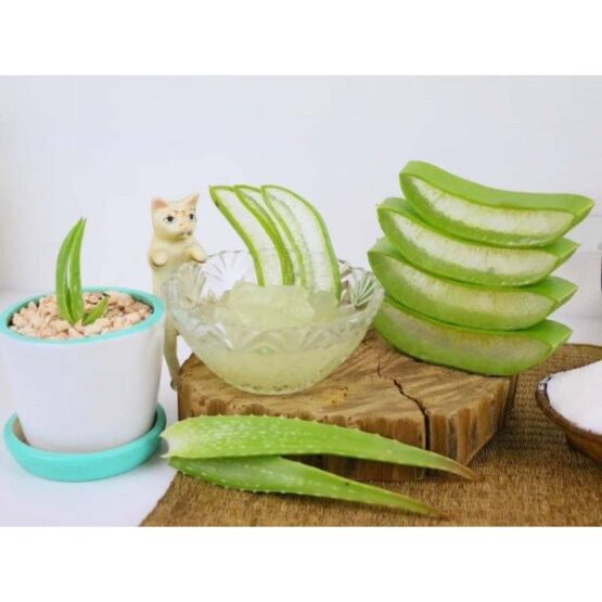 Aloe Vera Hydrating Gel - Image 2