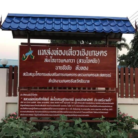 ส้มโอขาวแตงกวาชัยนาท  ราคากิโลละ 80 บาท (ไม่รวมค่าส่ง) - Image 4