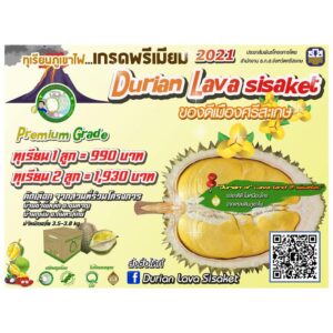 ทุเรียนภูเขาไฟศรีสะเกษ