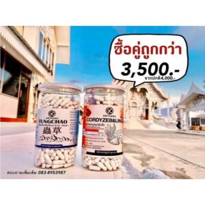 Cordyceps (500 Capsules x 2)
