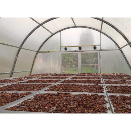 Lingzhi, 100g. (Megaview) - Image 3