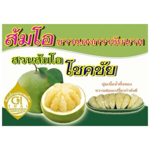 ส้มโอขาวแตงกวาชัยนาท  ราคากิโลละ 80 บาท (ไม่รวมค่าส่ง)