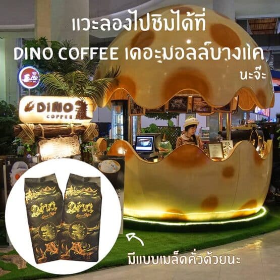 Dino Coffee เมล็ดกาแฟคั่วกลาง NO.2 (250g) - Image 4