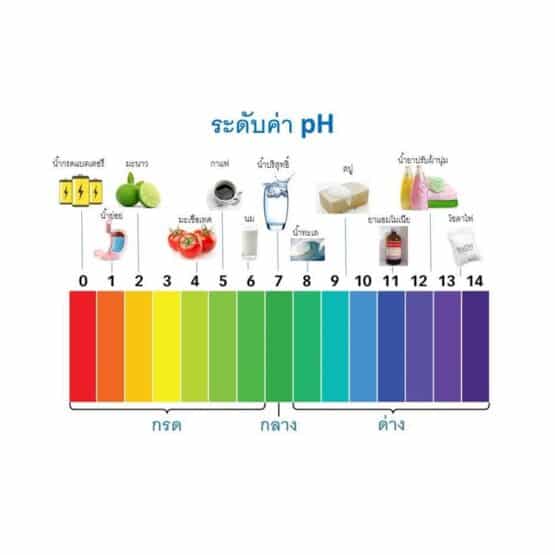 สบู่เหลวสมุนไพร Pluvicol 100ml - Image 3