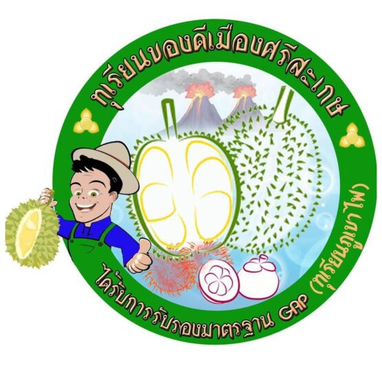 ทุเรียนภูเขาไฟศรีสะเกษ - Image 8