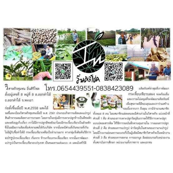 กระเจี๊ยบเขียวบดผง ตรา อิ่นศิริโชค ขนาด 200 กรัม บรรจุ 20 ซอง - Image 4