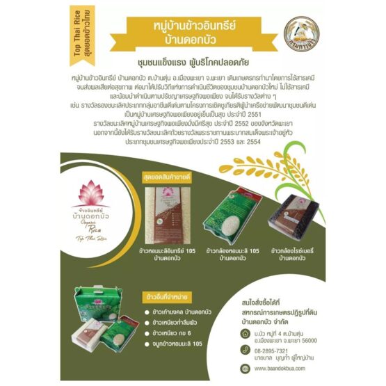 ข้าวอินทรีย์บ้านดอกบัว ORGANIC RICE - Image 2