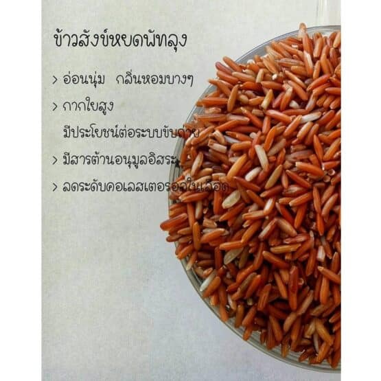 Sangyod rice - Image 2
