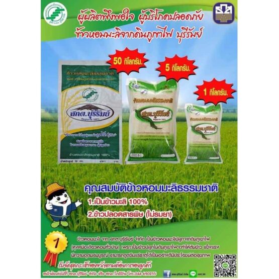 ข้าวหอมมะลิ จากดินภูเขาไฟ - Image 7