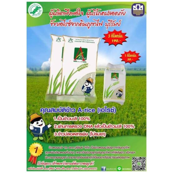 ข้าวหอมมะลิ จากดินภูเขาไฟ - Image 8