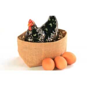 ไข่ไก่ ออแกนิค
