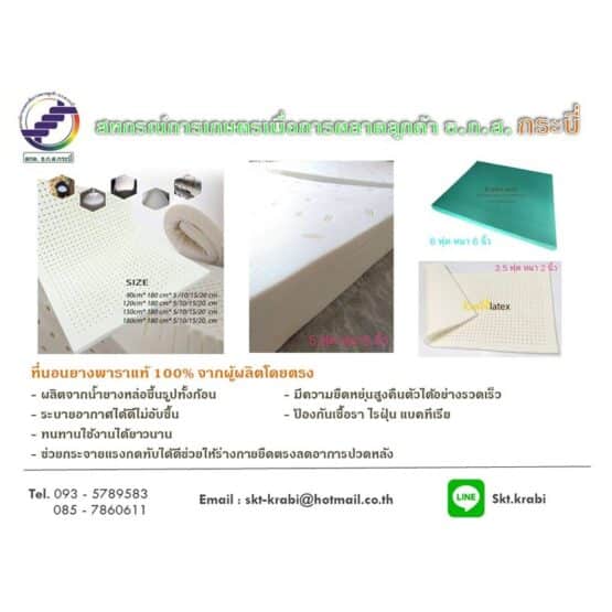 หมอนยางพาราและที่นอนยางพารา - Image 2