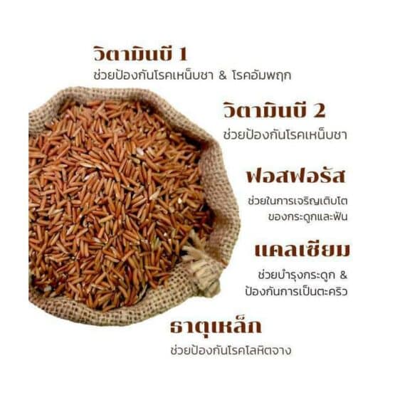 Phatthalung Sangyod rice, 1 kg. - Image 4