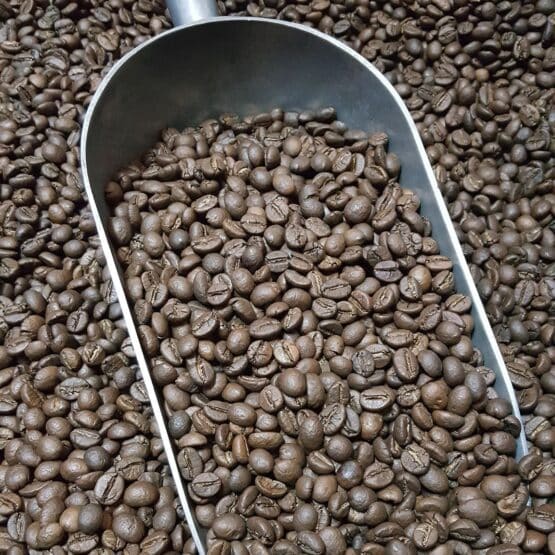 กาแฟกาหยู กาแฟระนอง GAH YU Coffee Ranong coffee - Image 2