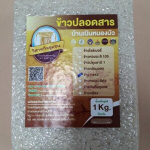 ข้าว กข 43