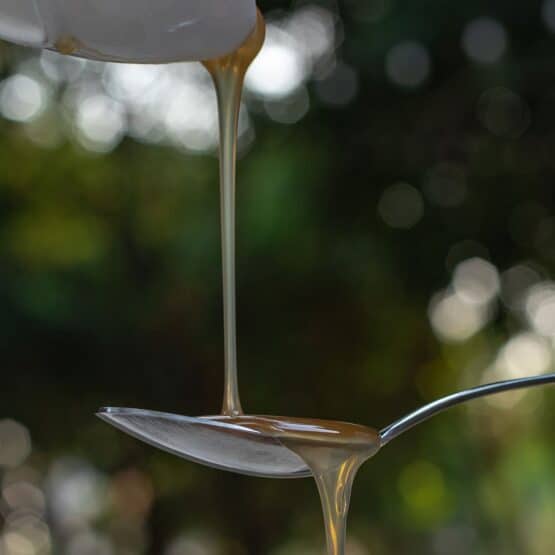 Palmyra Syrup - Image 3