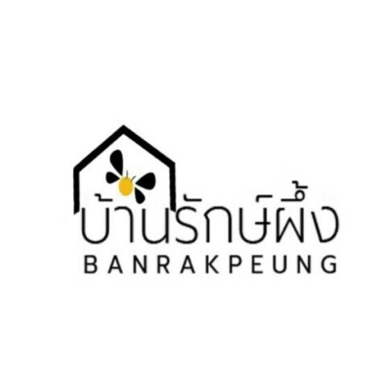 น้ำผึ้งชันโรง - Image 2