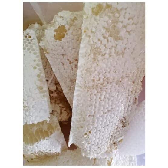 น้ำผึ้งป่าสด ขวด - Image 3