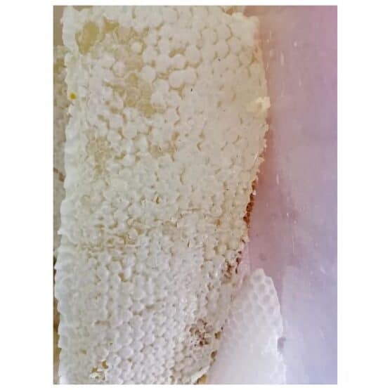 น้ำผึ้งป่าสด ขวด - Image 2