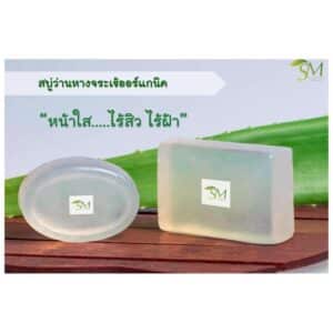 สบู่ก้อนว่านหางจระเข้