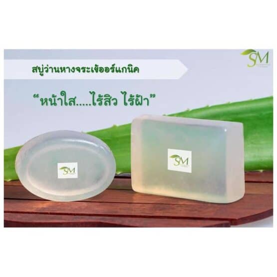 Aloe vera Soap