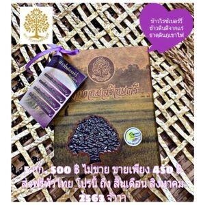 ข้าวไร้เบอร์รี่ ข้าวสร้อยศรี ข้าวดีของพะเยา