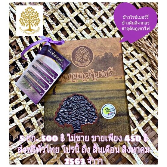 Riceberry Rice (Khoa Soi Sri), Phayao