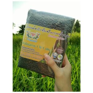 ข้าวกล้องไรซ์เบอร์รี่ ตราเพชรคอรุม 1 กก.