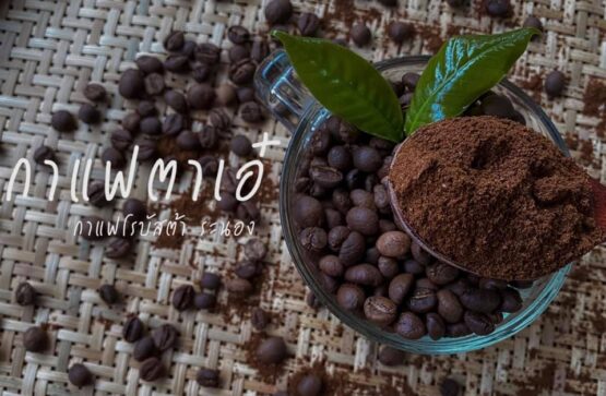 กาแฟคั่วบด รูปแบบ drip ขนาดบรรจุ / 10 ซอง 150 กรัม กาแฟตาเอ๋  โรบัสต้า 100% - Image 6