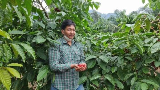 เมล็ดกาแฟคั่วสด โรบัสต้า 100% " LOM CHOY "  (Dark) ขนาด 100 g. - Image 9