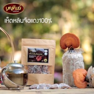 เห็ดหลินจือแดง 100% น้ำหนัก 20 กรัม ตรา บุญทิพย์