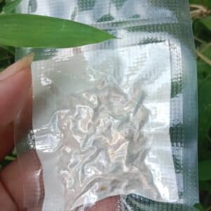 ชาดอกมะรุมปลูกปลอดภัย บรรจุ 7 ซอง ตรา OTOPชาสมุนไพรปลูกปลอดภัยbyศิริ