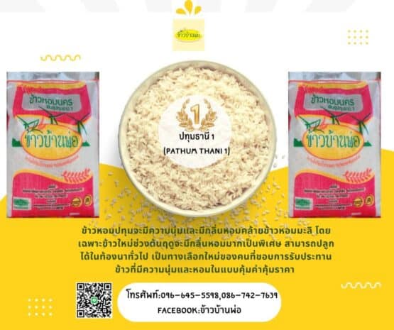 Rice, Ban Pho Khao Hom Nakorn (Pathum Thani 1), 15 kg.