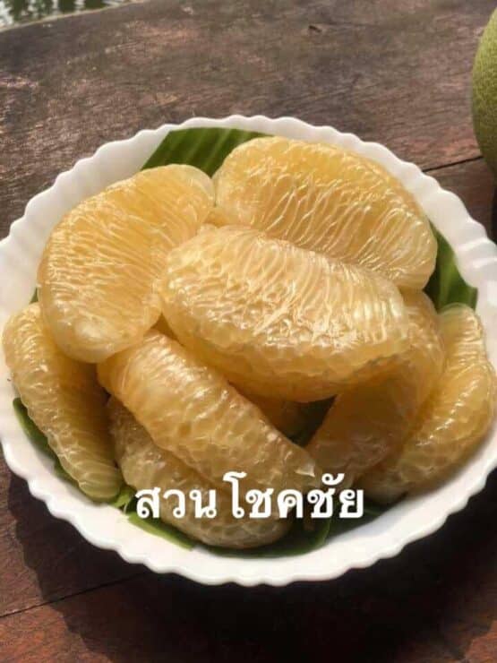 ส้มโอขาวแตงกวา @ สวนโชคชัย - Image 5