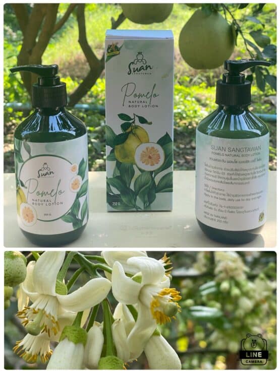 พอเมโล เนเชอรัล บอดี้ โลชั่น (Pomelo Natural Body Lotion) ขนาด 250 กรัม ตรา สวนแสงตะวัน (Suan Sangtawan)