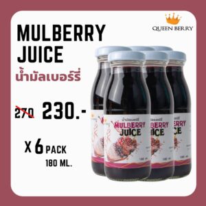 น้ำมัลเบอร์รี่พร้อมดื่ม ขนาด 180 ml. แพ็ค 6 ขวด ตรา Queen Berry