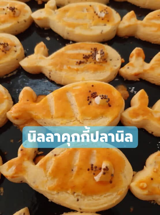 คุกกี้ผสมแคลเซียมก้างปลานิล ตรา Nilla (นิลลา) - Image 3