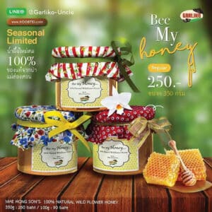 น้ำผึ้งแท้จากป่าแม่ฮ่องสอน ขนาด 350 กรัม จาก Garliko