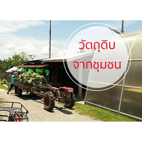 กล้วยหักมุกอบเกลือ สูตรเค็มน้อย ขนาด 1,000 กรัม ตรา แม่อารักษ์ - Image 6