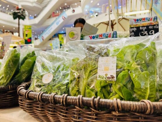 ผักอินทรีย์ ตรา ปฐมสุข - Image 5