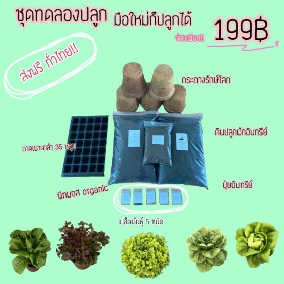 ชุดทดลองปลูกผักอินทรีย์ จาก ไร่ภูตะวันออร์แกนิคฟาร์ม