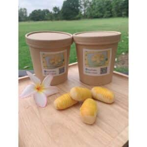 Pineapple Tart (white bottle) size 350 g. (Khanom Baan Aom)