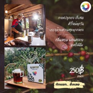 กาแฟดริป แบบ กล่อง ขนาดรวม 100 กรัม (บรรจุ  10 ซอง) ตรา O3 Coffee