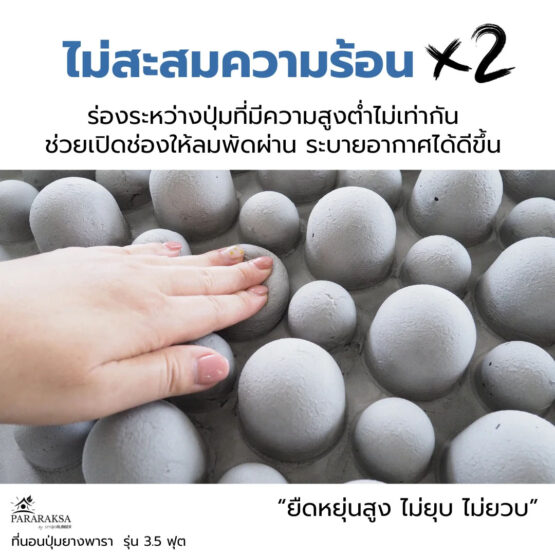 ที่นอนปุ่มยางพารา รุ่น 3.5 ฟุต ตรา ParaRuksa - Image 5