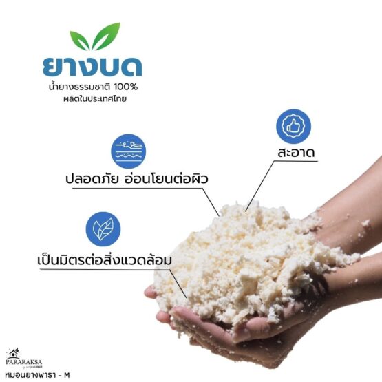 หมอนยางพาราบด ไซส์ M ตรา ParaRuksa - Image 13
